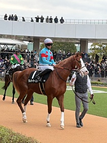 ���X�e�[�N�X�ł̃N���o�[�e�[�X�g